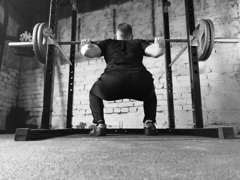 Barbell, Gym, Squat Rack, Man, Strength, Weights
