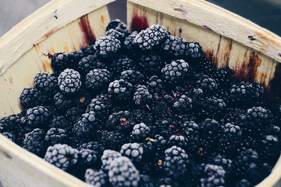 Berry, Blackberry, Close-Up, Container, Delicious